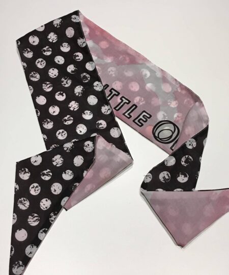 Alternative view of Hitch 5933