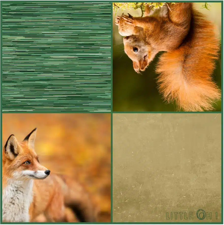 Echarpe réf. 4984 – Image 3