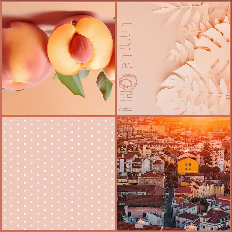 Foulard réf. 7042 – Image 3