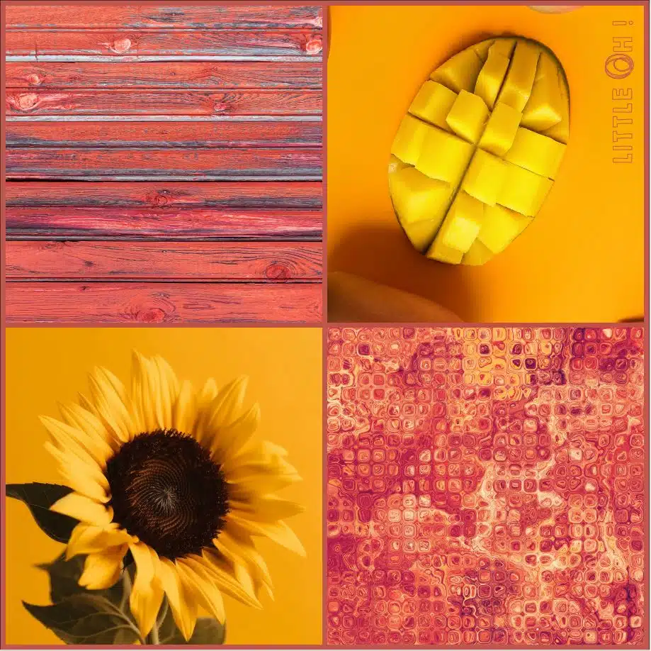 Foulard réf. 7831 - Mangue & tournesol – Image 3