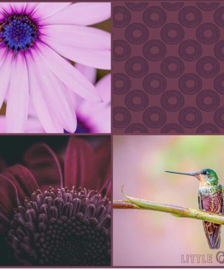 Foulard 140x140 - Colibri